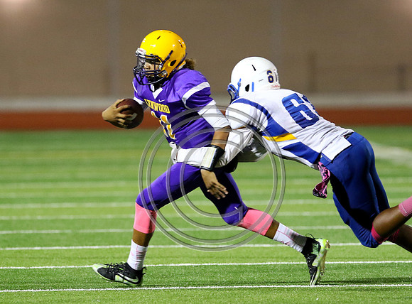 Football 10-9-15_219