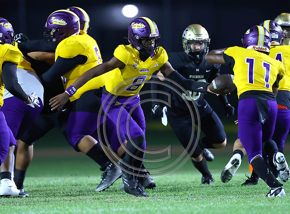 Football 2024_006