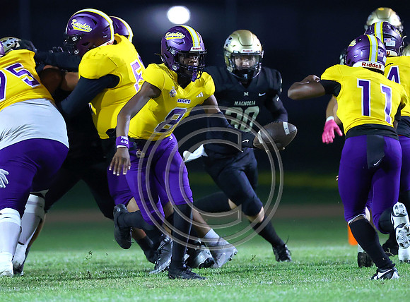 Football 2024_005